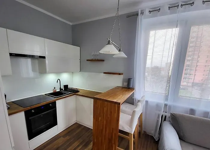 Ogrody * Wi-fi * Jezyce * 3 Km Center Apartment *