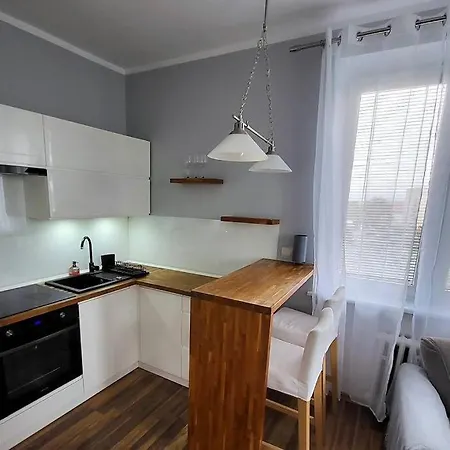 Ogrody * Wi-fi * Jezyce * 3 Km Center Apartment *